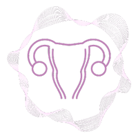 UTSVG_1ab1a03e-58e5-480a-9198-c5d5f432baa9.png